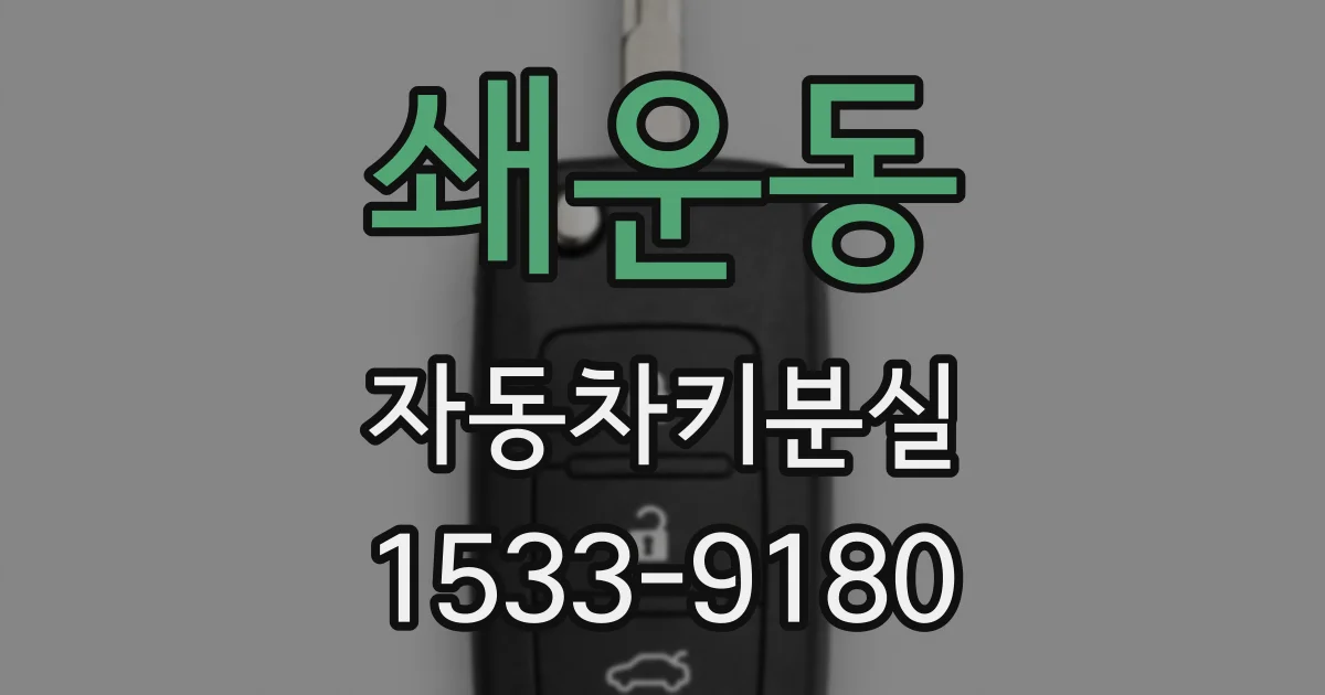 쇄운동 자동차키분실