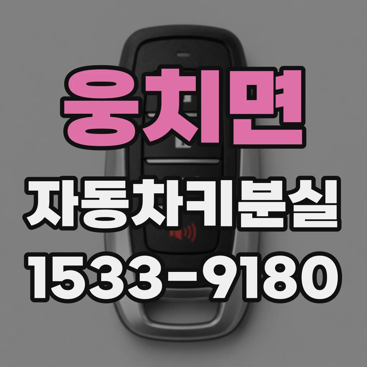 웅치면 자동차키분실
