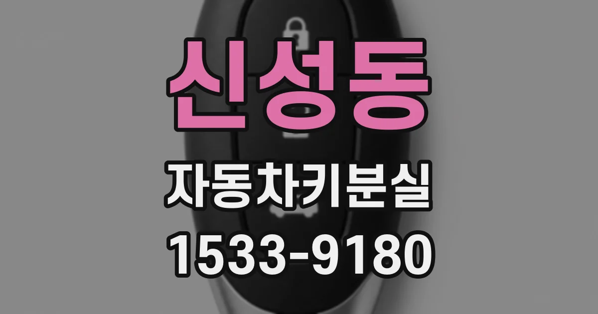 신성동 자동차키분실