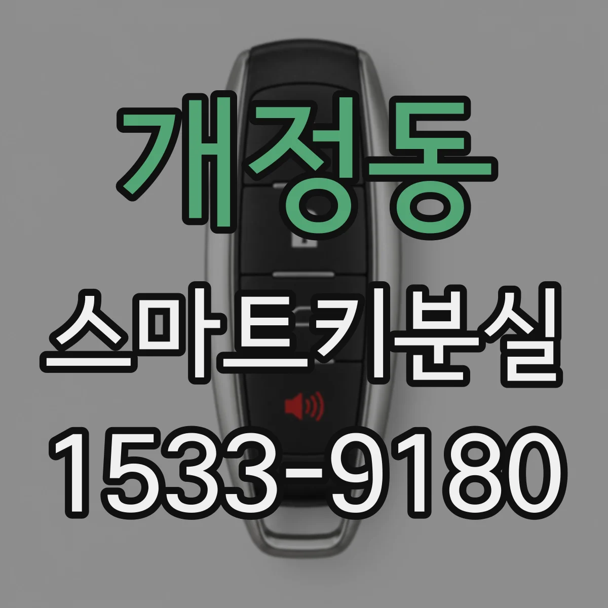 개정동 스마트키분실