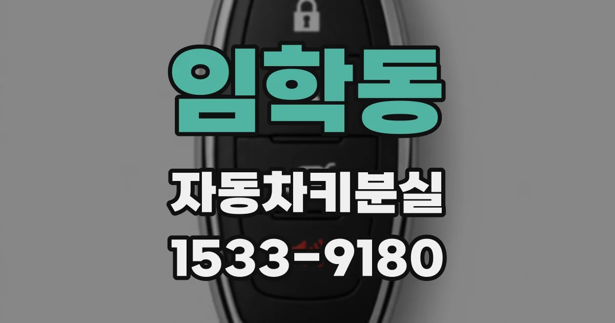 임학동 자동차키분실
