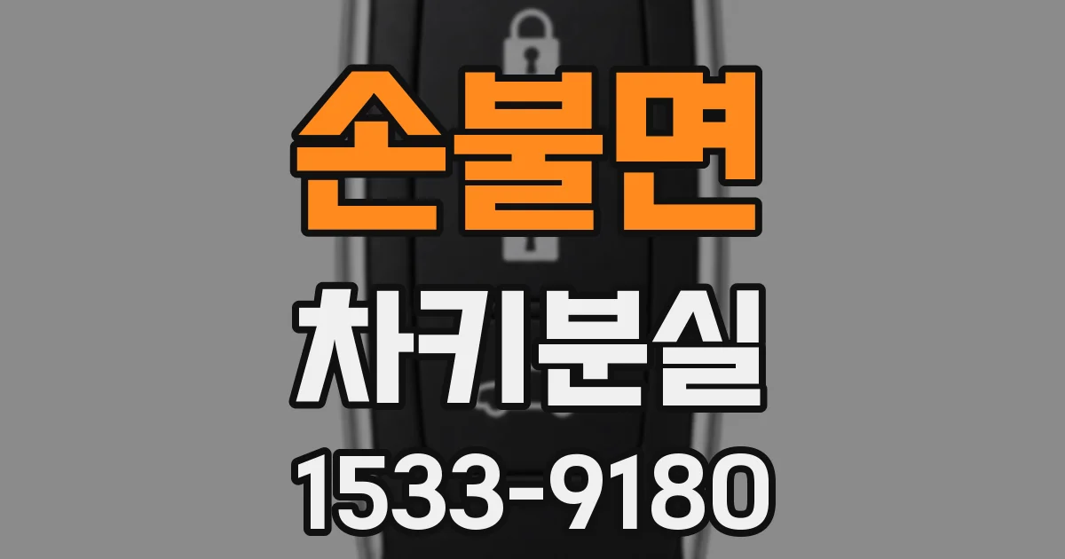 손불면 차키분실