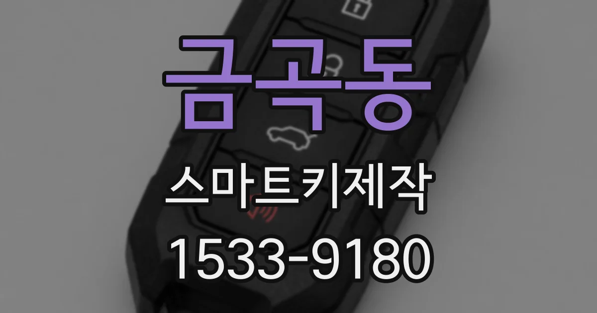 금곡동 스마트키제작