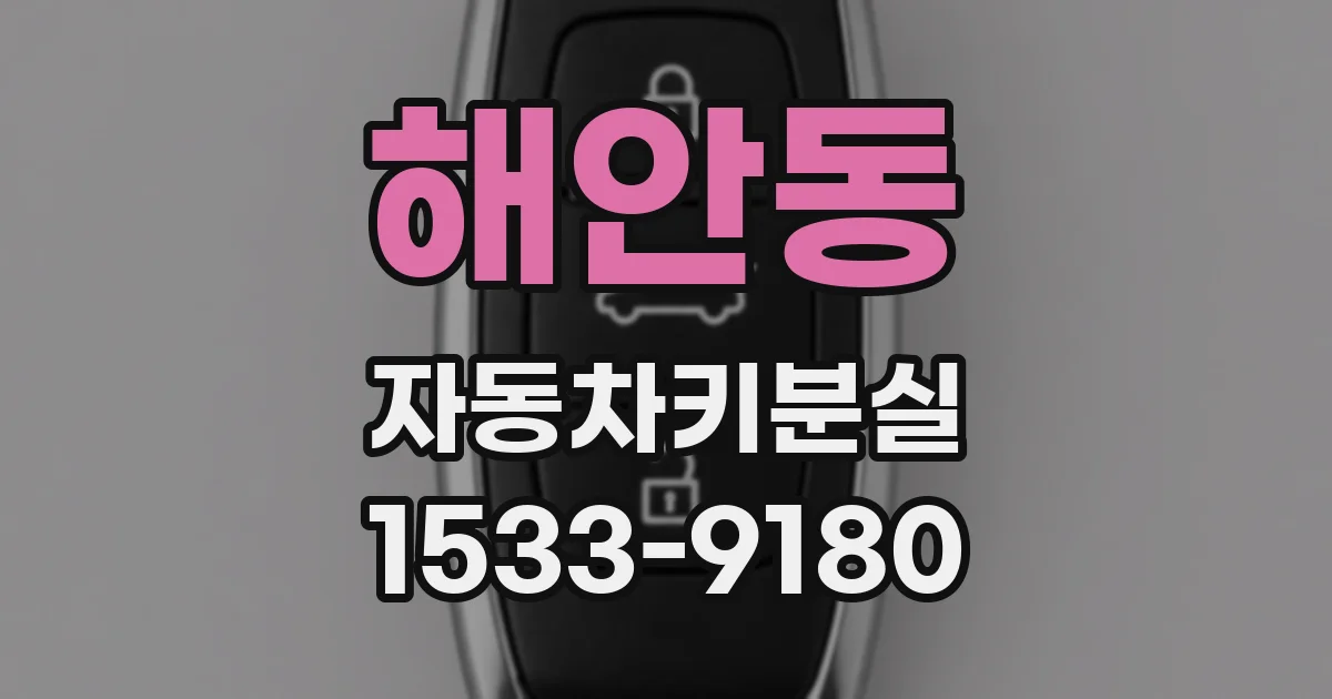 해안동 자동차키분실