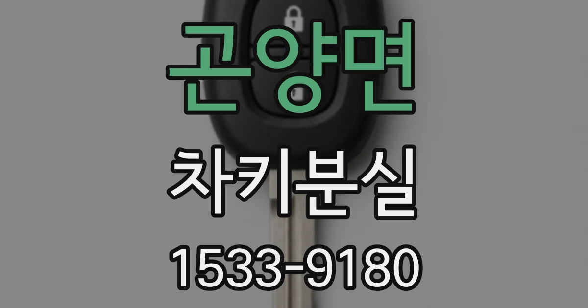 곤양면 차키분실