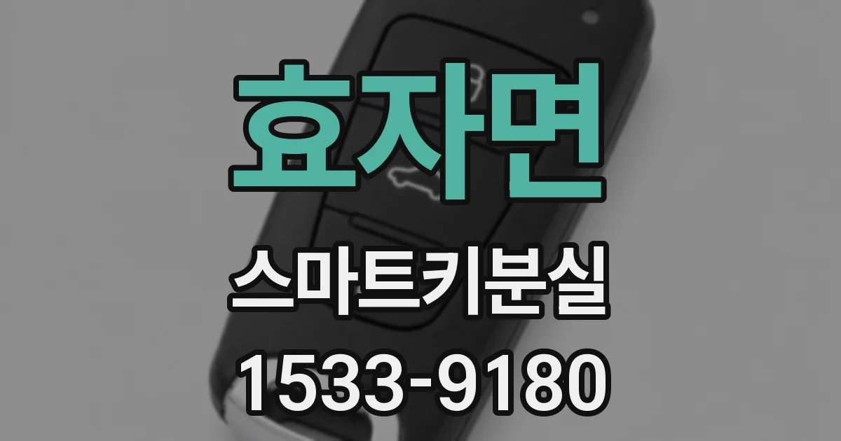 효자면 스마트키분실