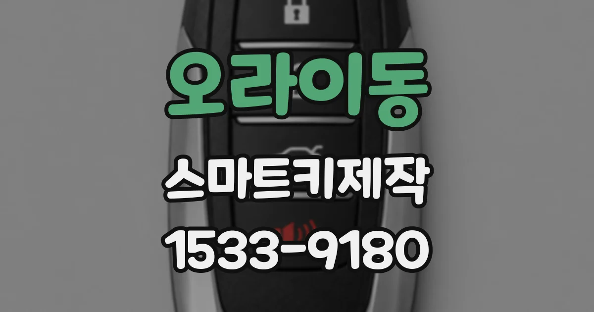 오라이동 스마트키제작