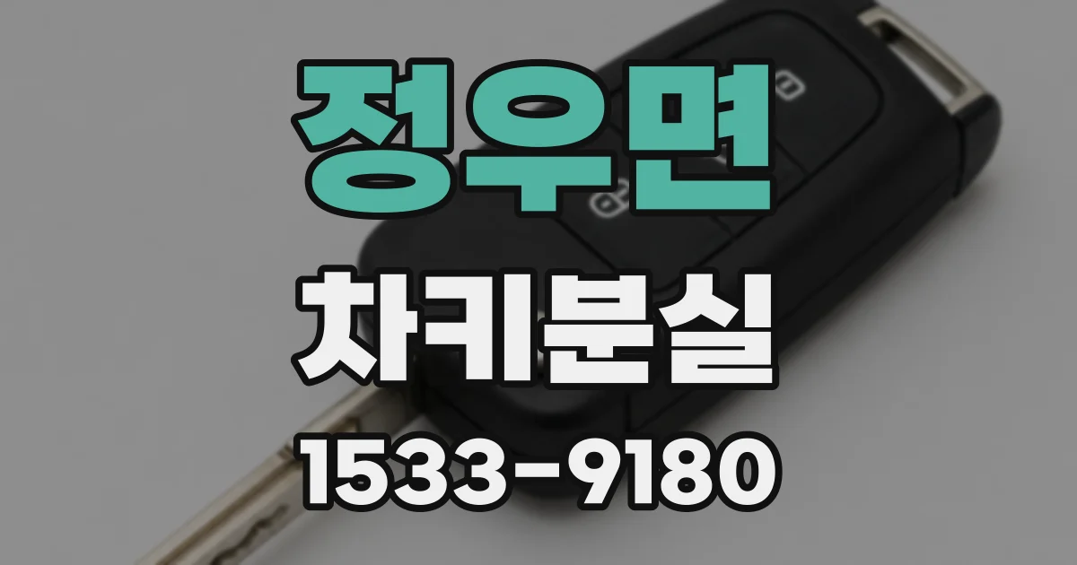 정우면 차키분실