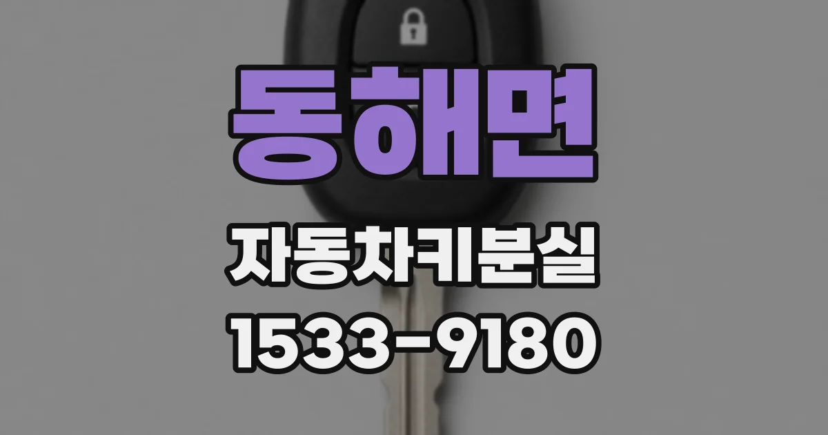 동해면 자동차키분실