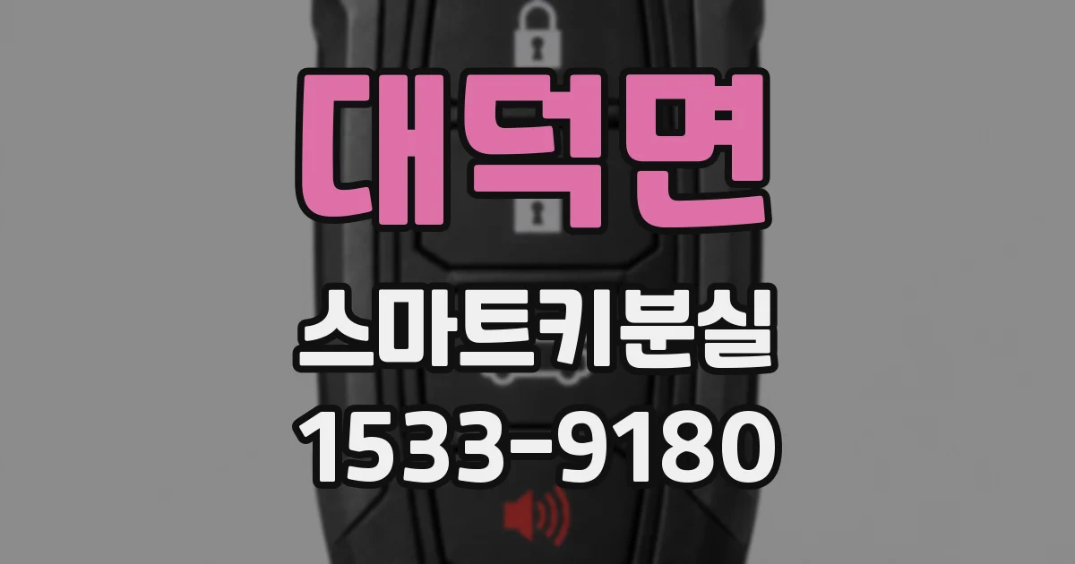 대덕면 스마트키분실