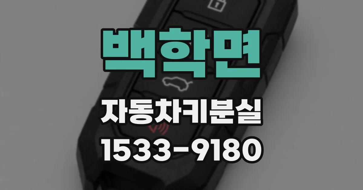 백학면 자동차키분실