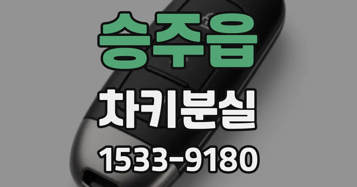 승주읍 차키분실