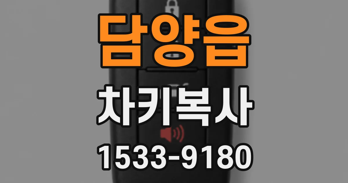 담양읍 차키복사