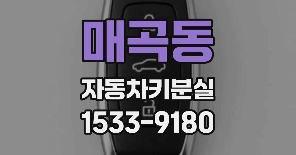 매곡동 자동차키분실