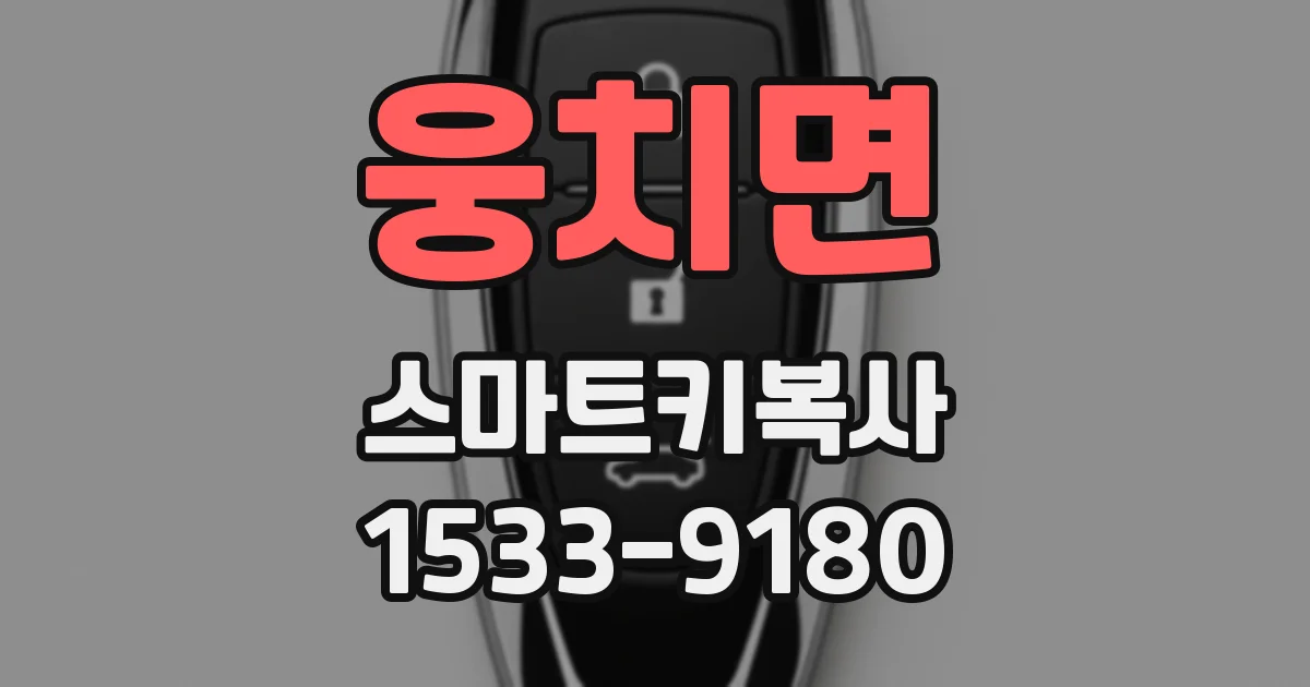 웅치면 스마트키복사