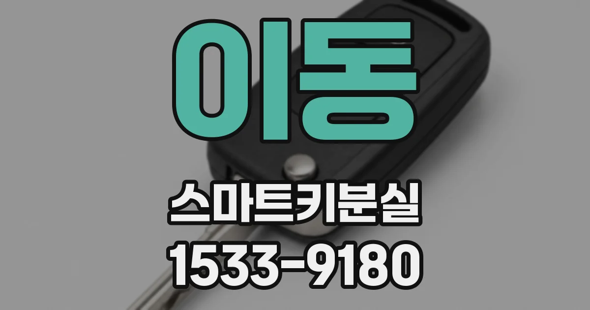 이동 스마트키분실