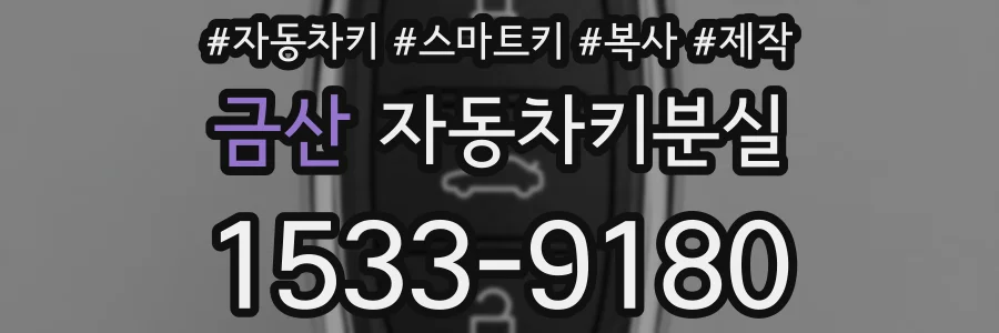 금산 자동차키분실