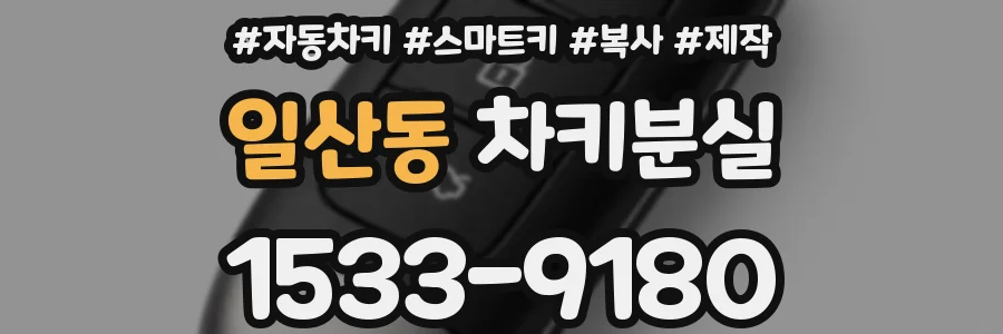 일산동 차키분실