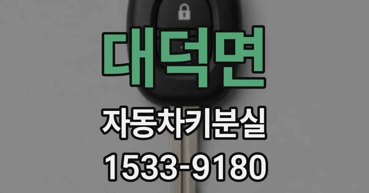 대덕면 자동차키분실