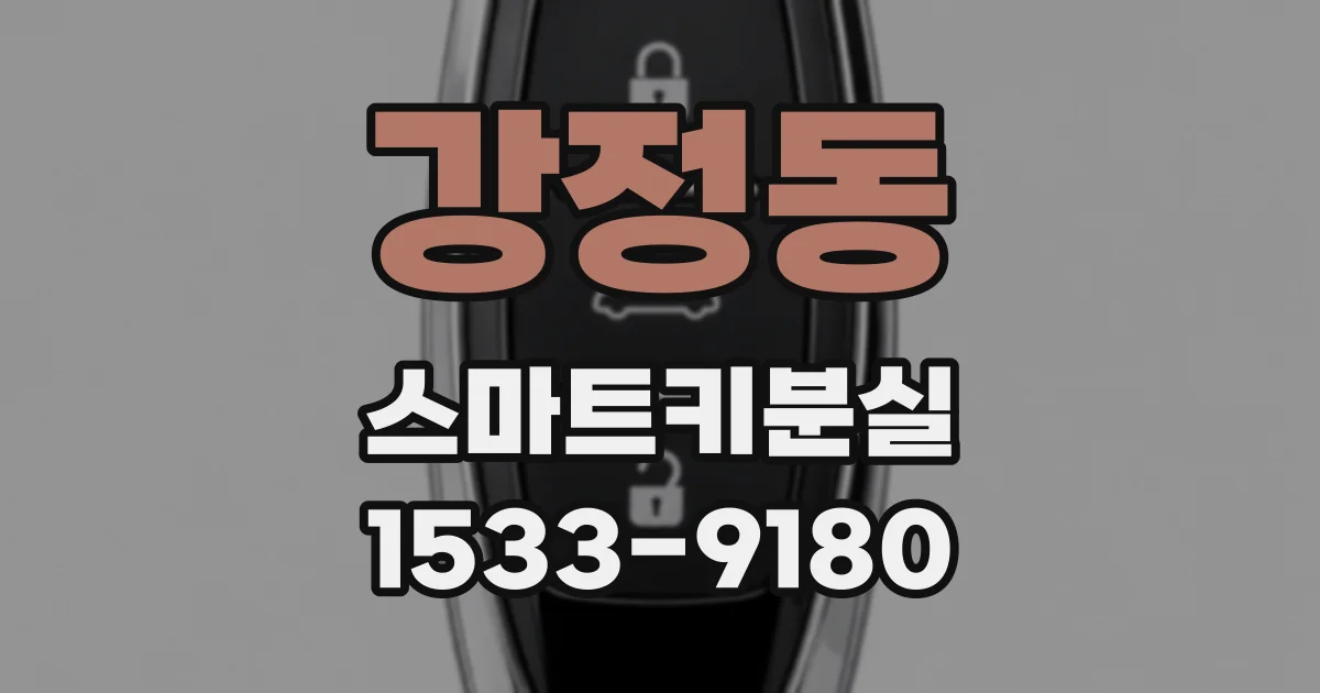 강정동 스마트키분실