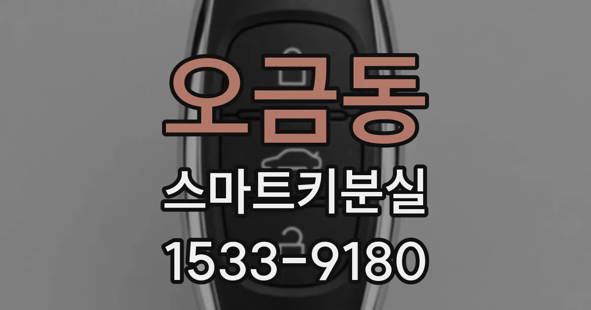 오금동 스마트키분실