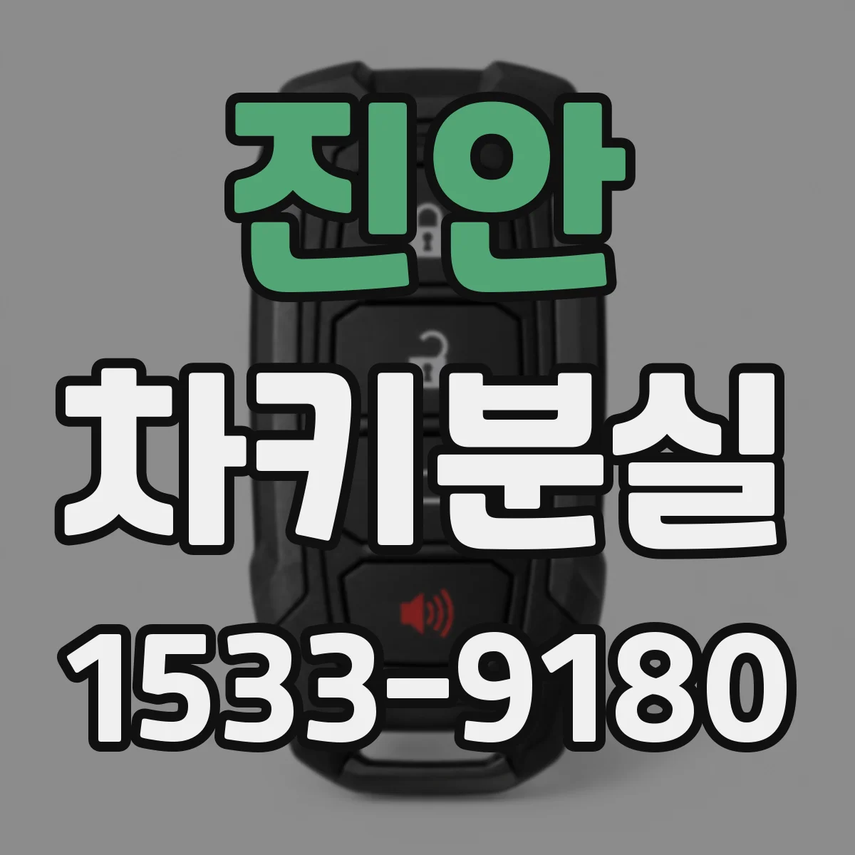 진안 차키분실