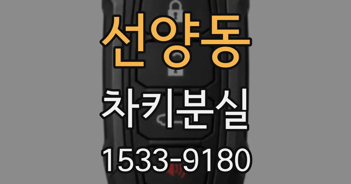 선양동 차키분실