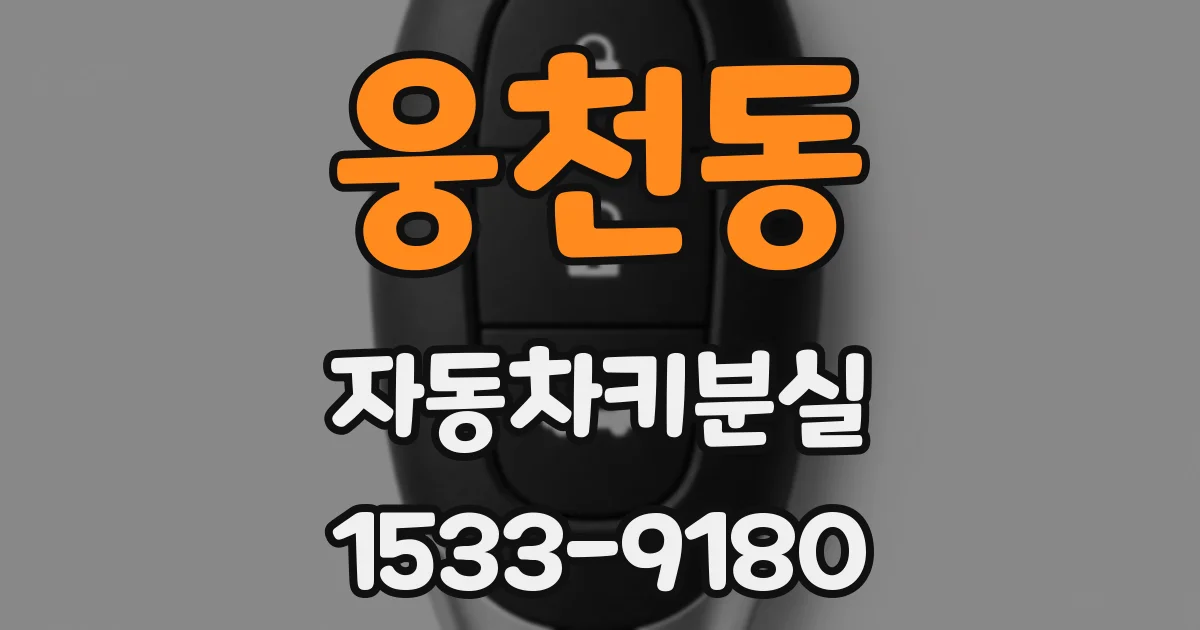 웅천동 자동차키분실