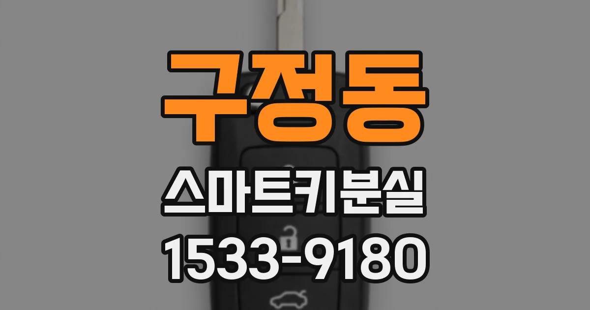구정동 스마트키분실