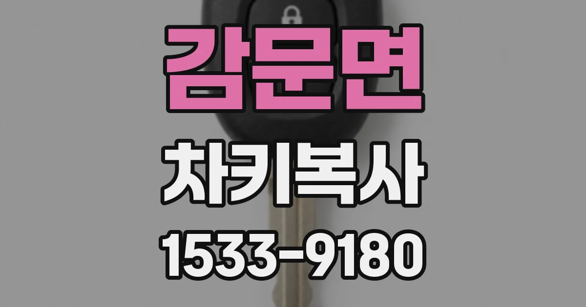 감문면 차키복사
