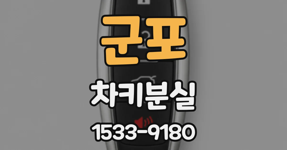 군포 차키분실