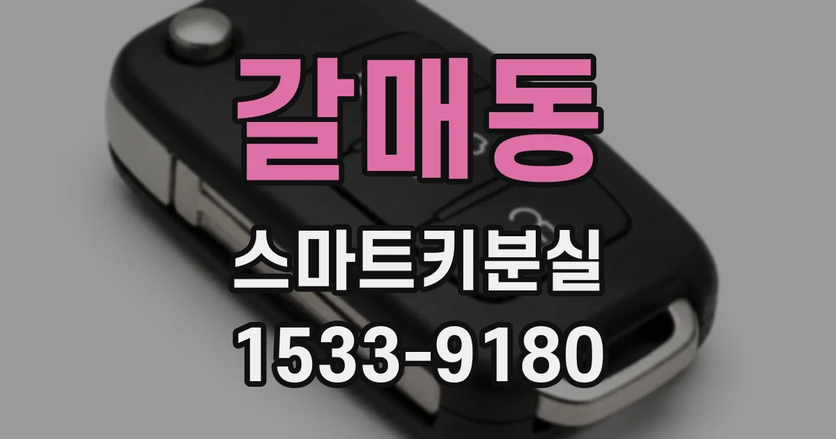갈매동 스마트키분실