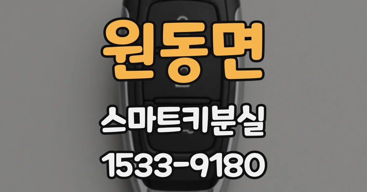원동면 스마트키분실