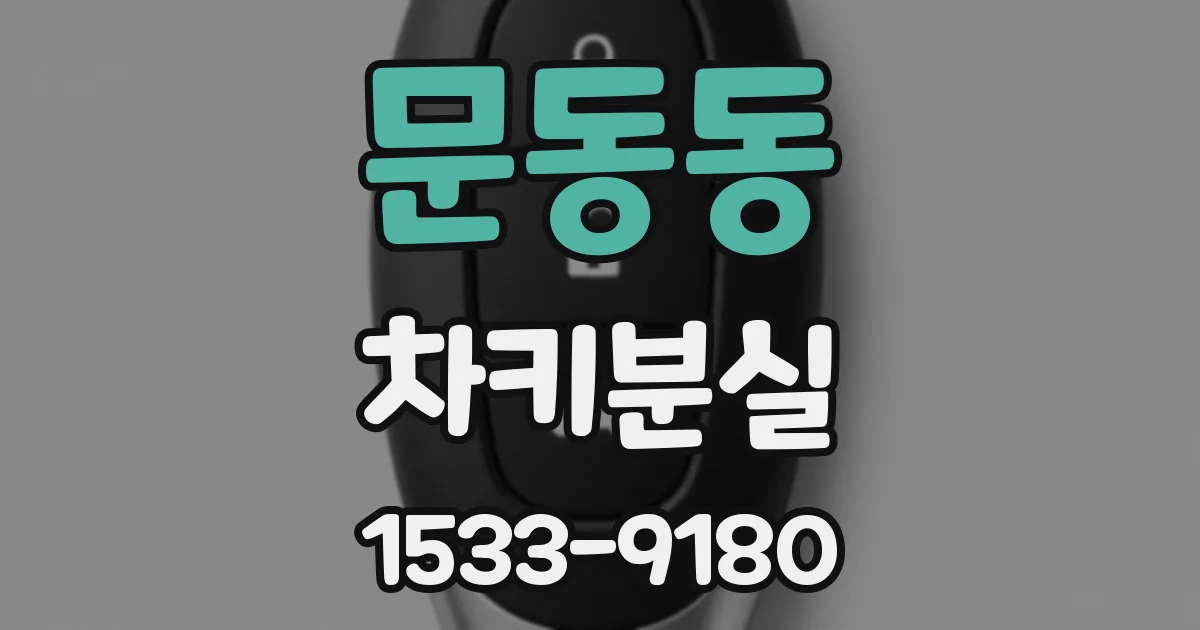 문동동 차키분실