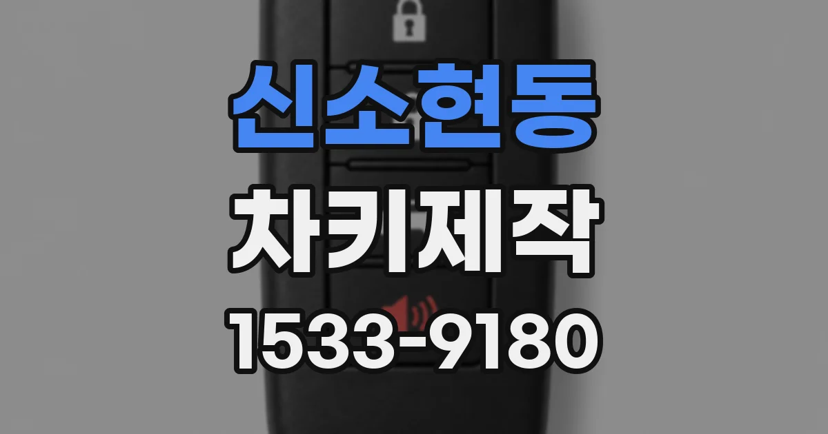 신소현동 차키제작