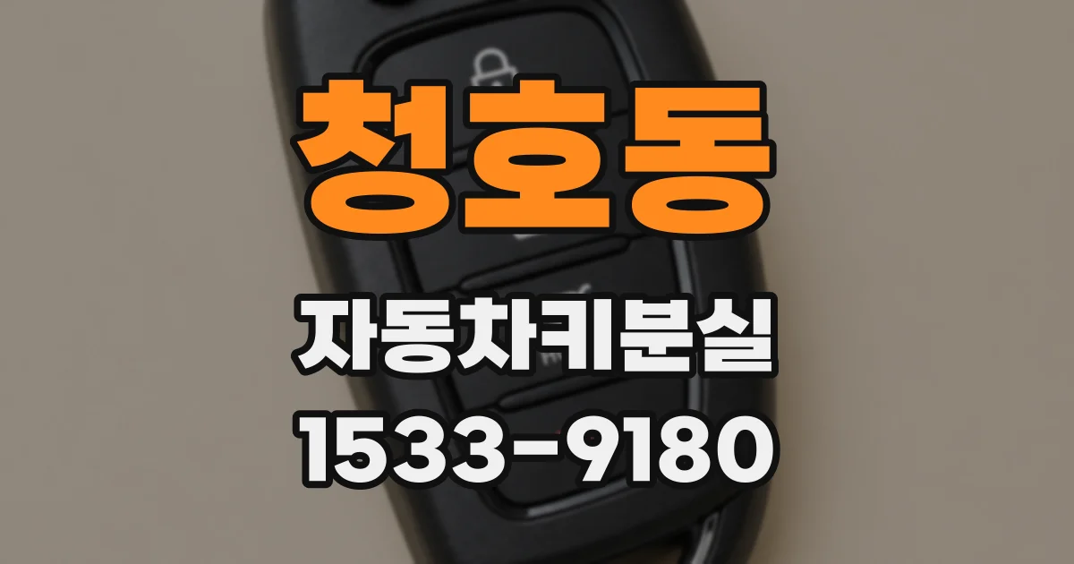 청호동 자동차키분실