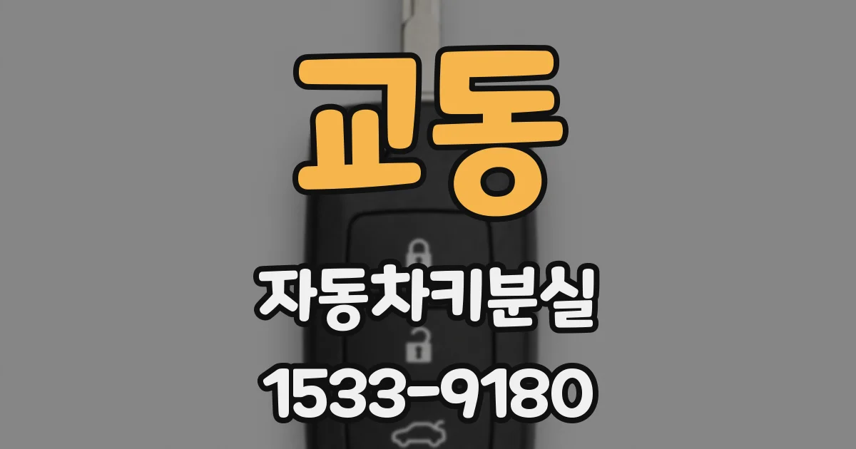 교동 자동차키분실