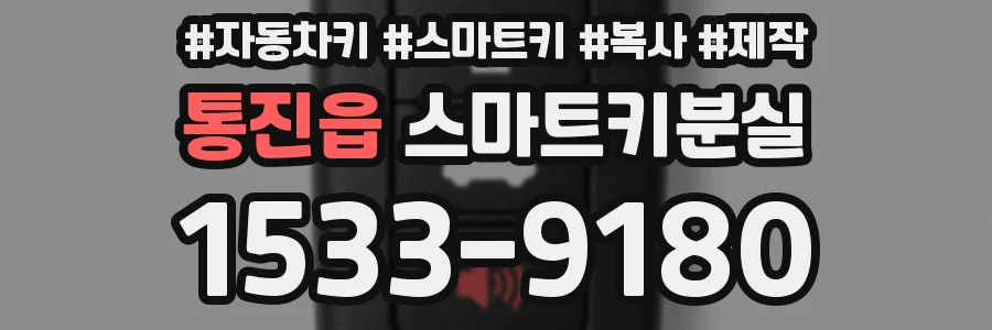 통진읍 스마트키분실