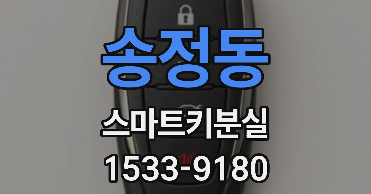 송정동 스마트키분실