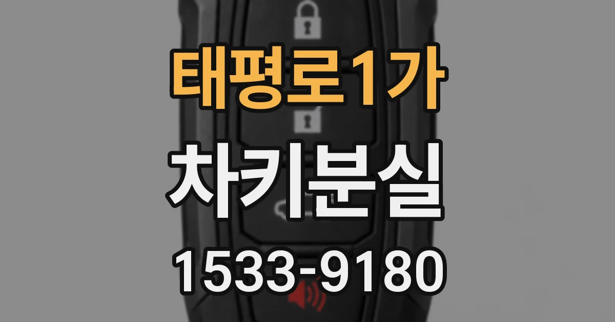태평로1가 차키분실