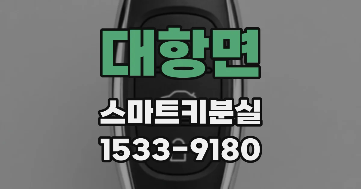 대항면 스마트키분실
