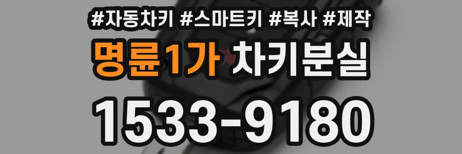 명륜1가 차키분실