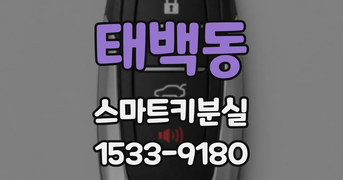 태백동 스마트키분실