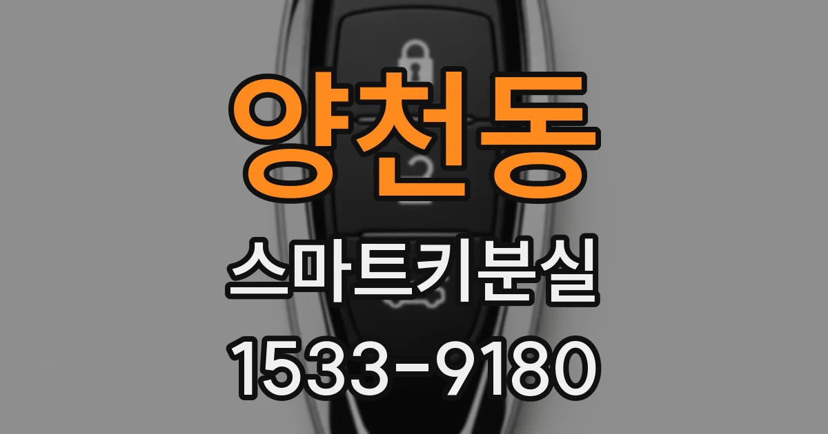 양천동 스마트키분실