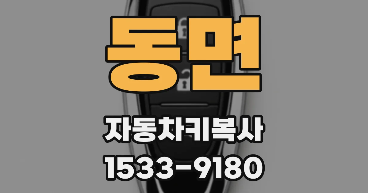 동면 자동차키복사