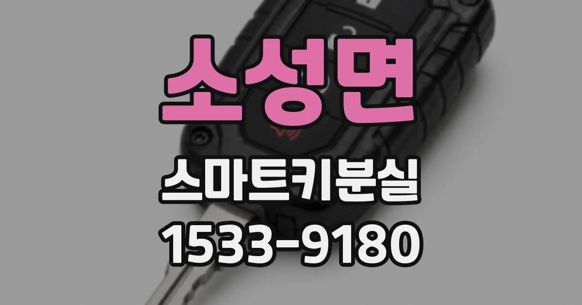 소성면 스마트키분실