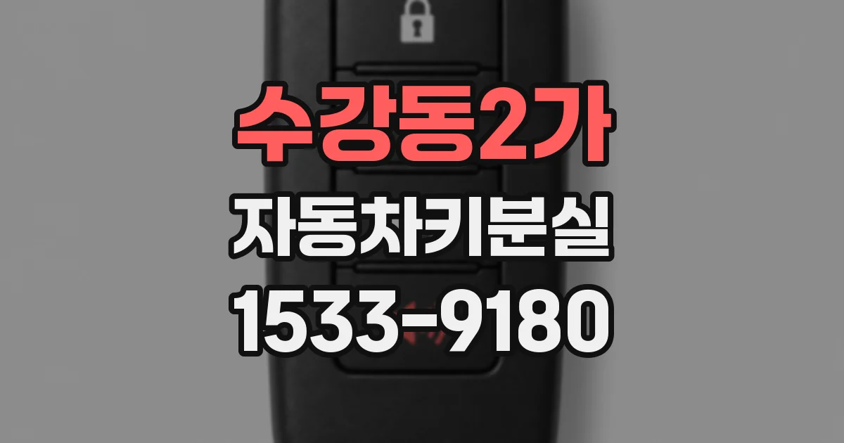 수강동2가 자동차키분실