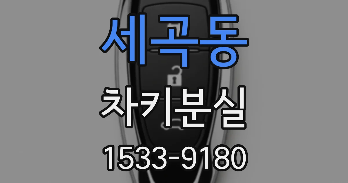 세곡동 차키분실