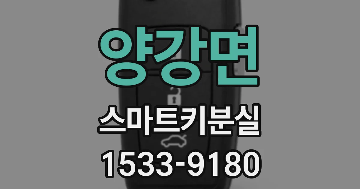 양강면 스마트키분실