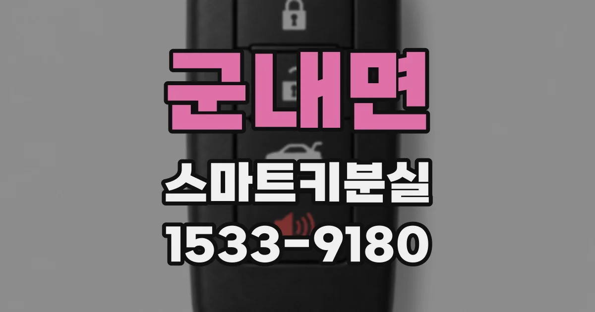 군내면 스마트키분실